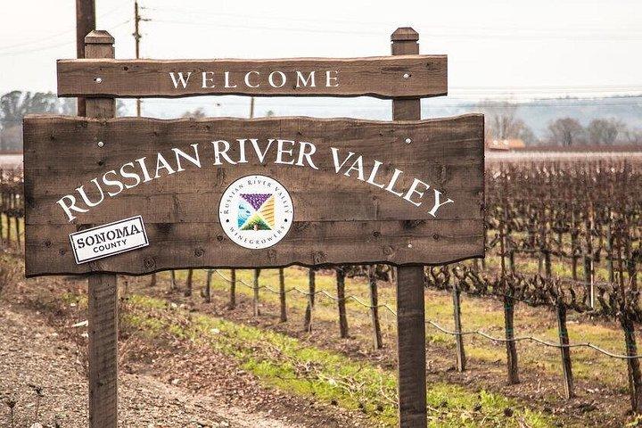 6-Hours Customized Private RUSSIAN RIVER Valley Wine Tour From San Francisco Bay