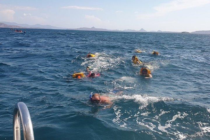 1- day Komodo Island Hopping Tour by Speed Boat departure From Labuan bajo