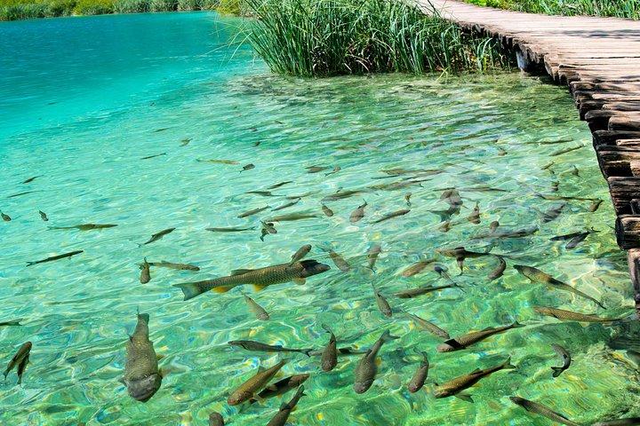 Privé-ervaring van Rastoke en Plitvice meren vanuit Zagreb