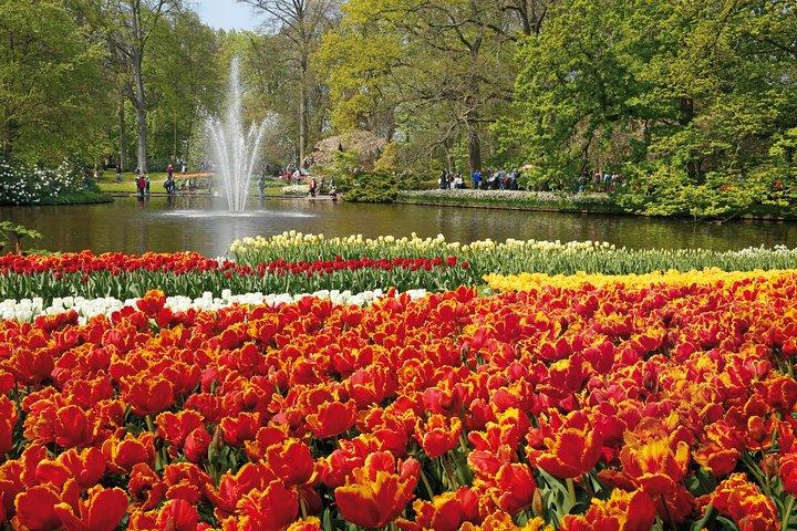 De Amsterdã : Keukenhof Gardens Bilhete e Transfer