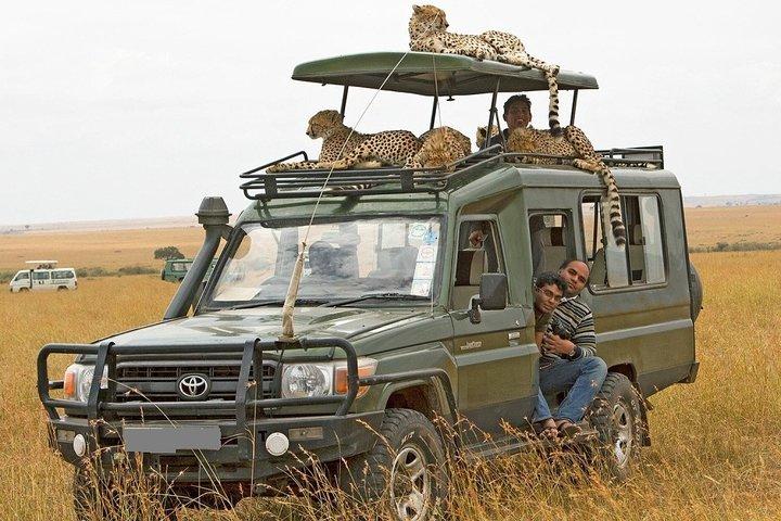 12 días de lo mejor de Kenya Wildlife Jeep Safari - High End