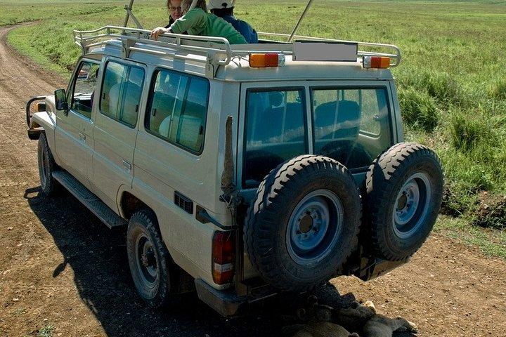 12 días de lo mejor de Kenya Wildlife Jeep Safari - High End