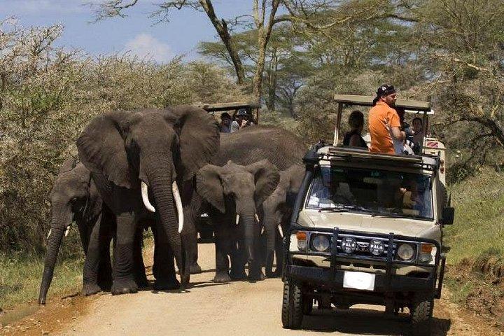ケニア野生動物ジープサファリの12日間のベスト-ハイエンド