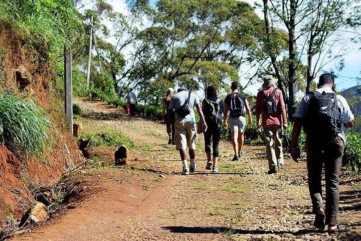Wanderung zu Single Tree Hills