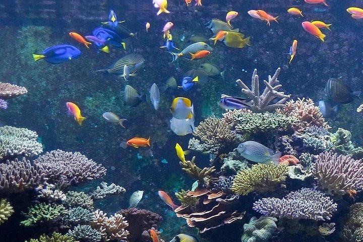 ブルーホールと3つのプール
