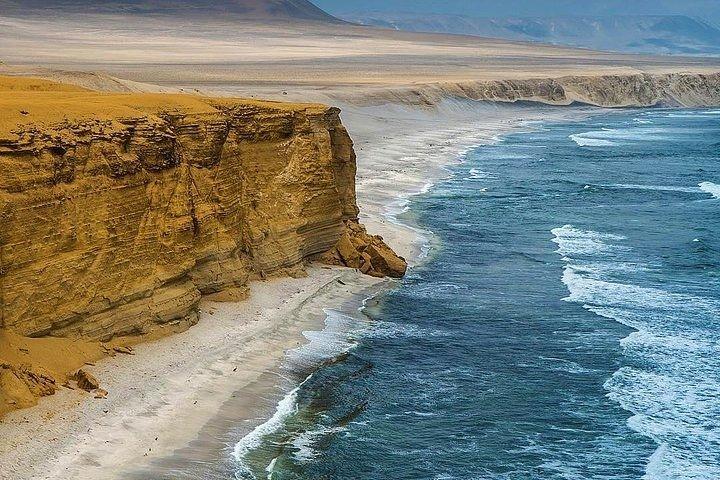 リマからの 2 日ツアー : パラカス、バレスタス島、ワカチナ