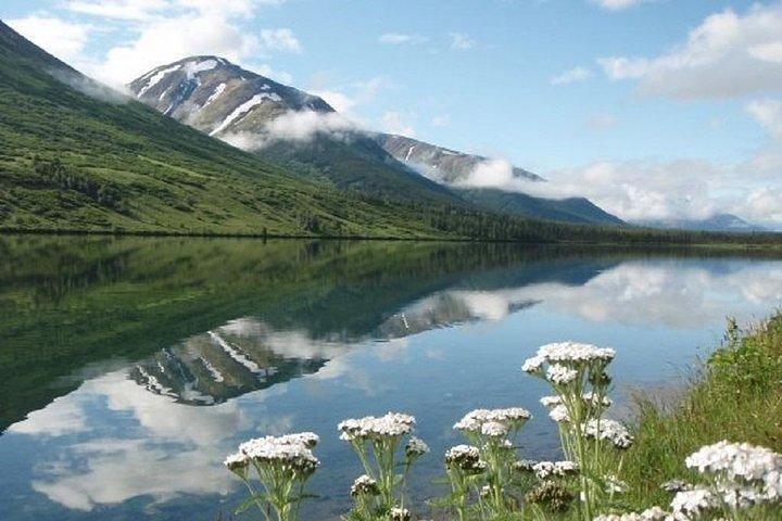 Anchorage para Whittier Cruise Transfer e Private Tour
