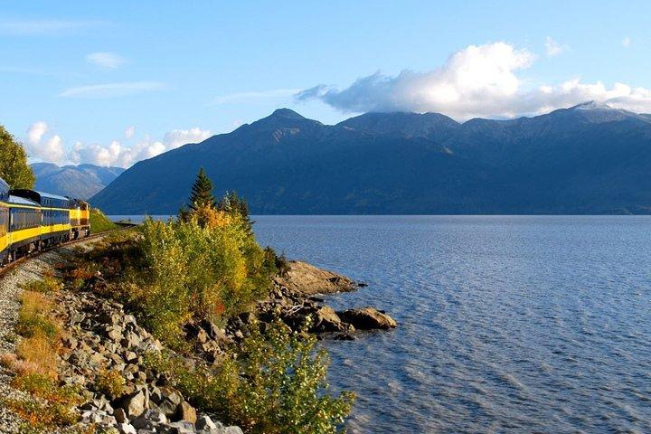 Visite privée de Turnagain Arm et Portage Valley