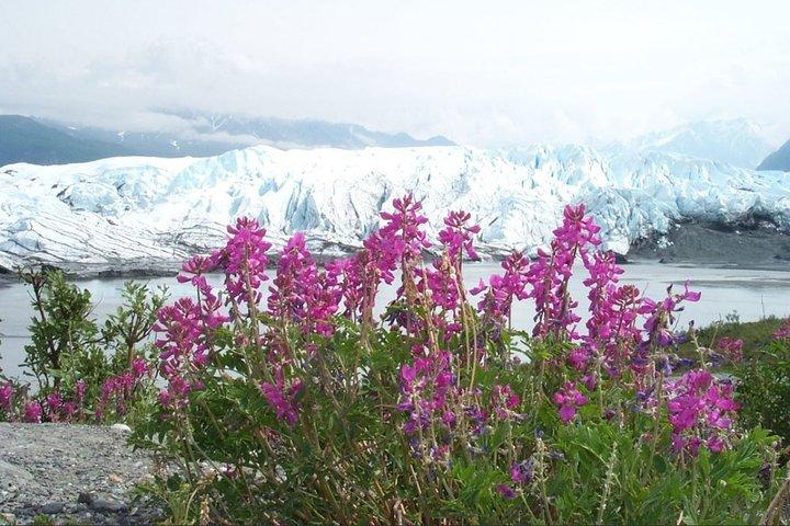 Matanuska Glacier Tour d'été