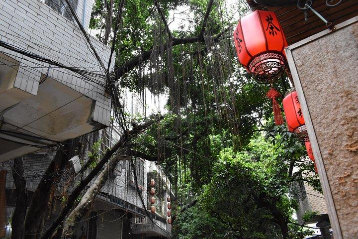 広州カレッジタウンのプライベート 1 日ツアー