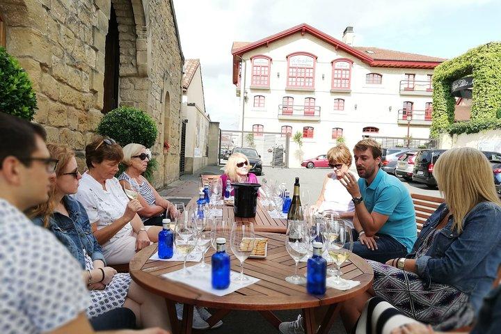 Private Day in Rioja from San Sebastian