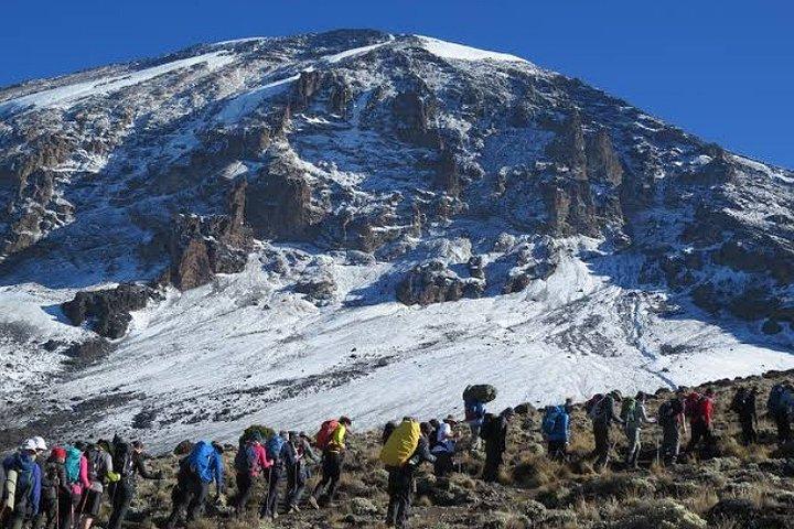 Mount Kilimanjaro : 7 - Dag Trekking - Lemosho Route