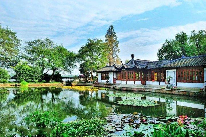Tour di un giorno privato della natura e del giardino di Hangzhou con Tea Village e pranzo