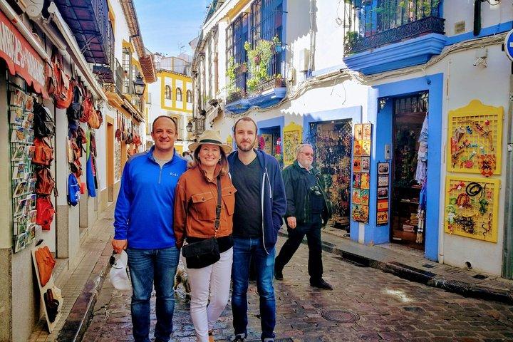 Cordoba & Moskeen Smågruppedagstur fra Granada