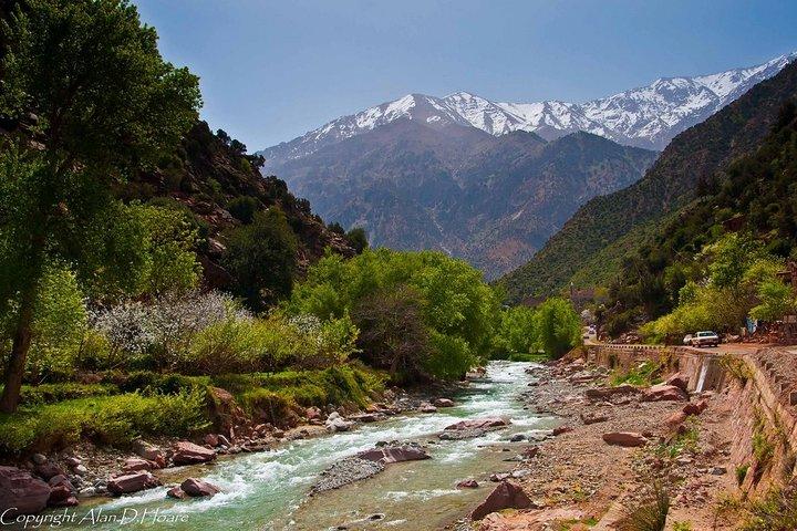 Visite privée d'une journée dans la vallée de l'Ourika au départ de Marrakech