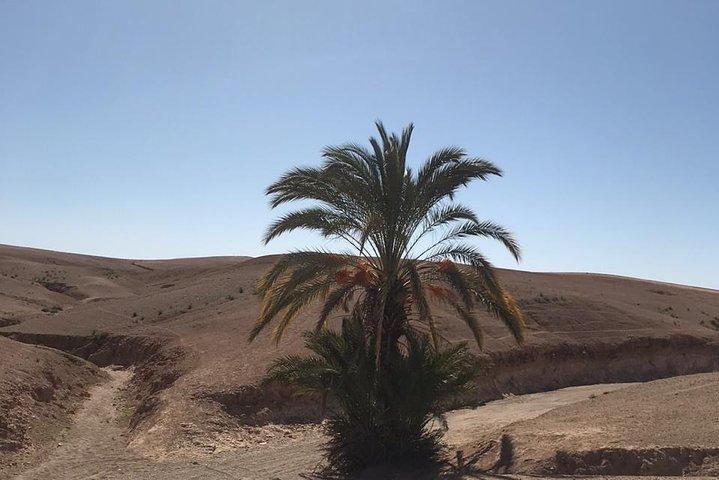 Merzouga Desert Tour (Marrakech- Marrakech) 3D / 2N