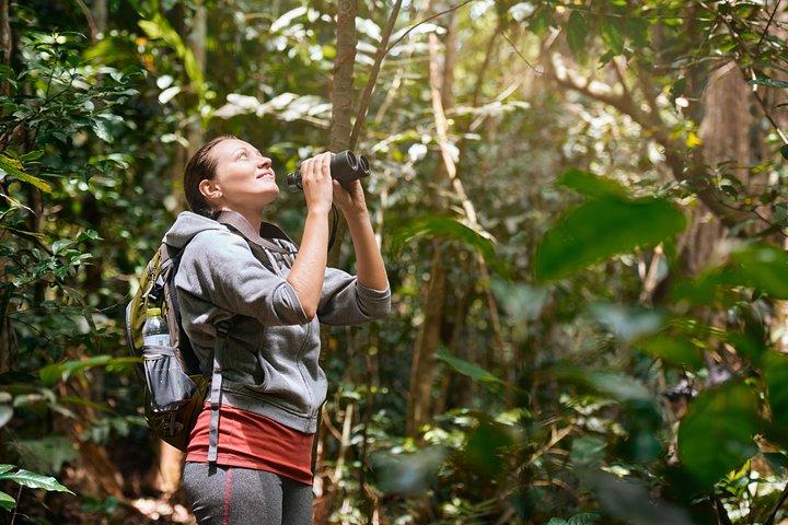 Pacchetto vacanze Corcovado e vulcano Arenal Expedition 8D/7N
