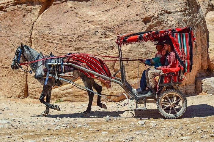 Aventura de 4 dias / 3 noites em Petra, Jerash e Amã
