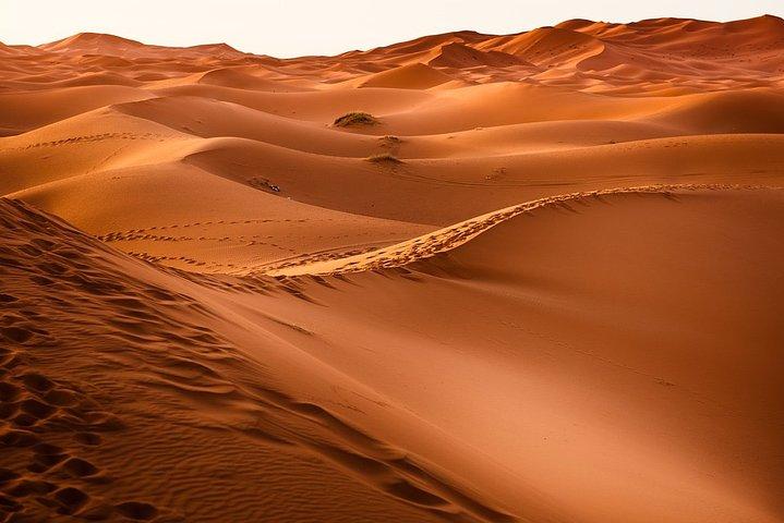 2 dages tur til Zagora fra Marrakech