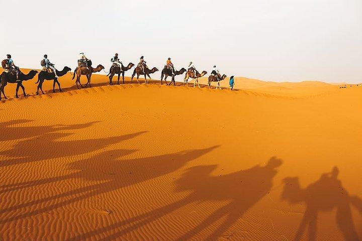 Tour di 2 giorni a Zagora da Marrakech