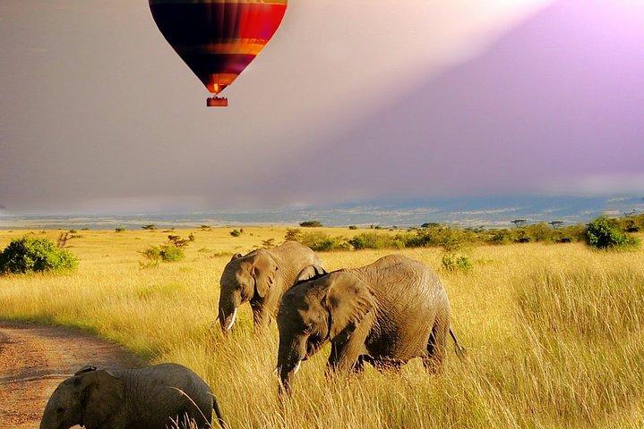 7 giorni 6 notti Il meglio dell'avventura in Kenya