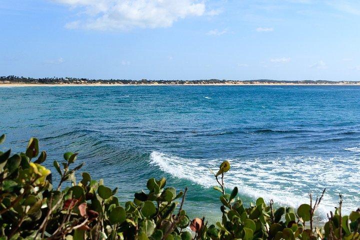 Cape Town Divers Experience 4Days 3Nights (Conforto)