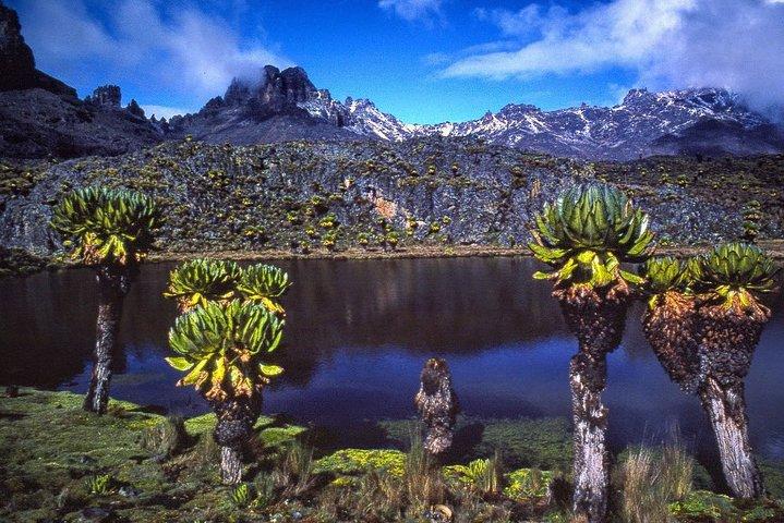 Mt Meru Klim 3 dagen