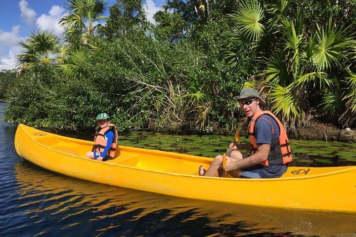 Privado - Ruínas de Tulum e 3 Cenotes Jungle Adventure