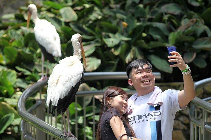 Go Nature – Tour durch den Orchideengarten, den Vogelpark und den Schmetterlingspark