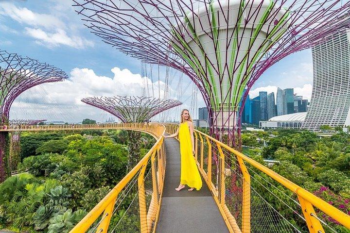 Privater Instagram-Rundgang durch Singapur (Privat & All-Inclusive)