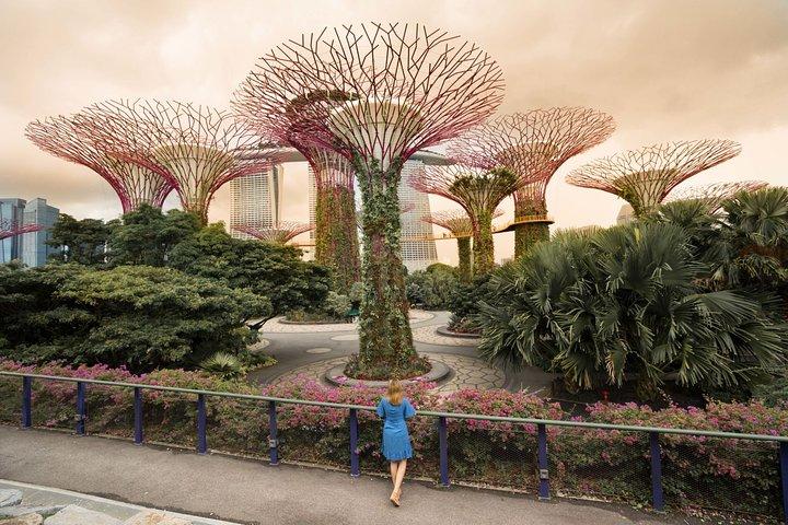 Privater Instagram-Rundgang durch Singapur (Privat & All-Inclusive)