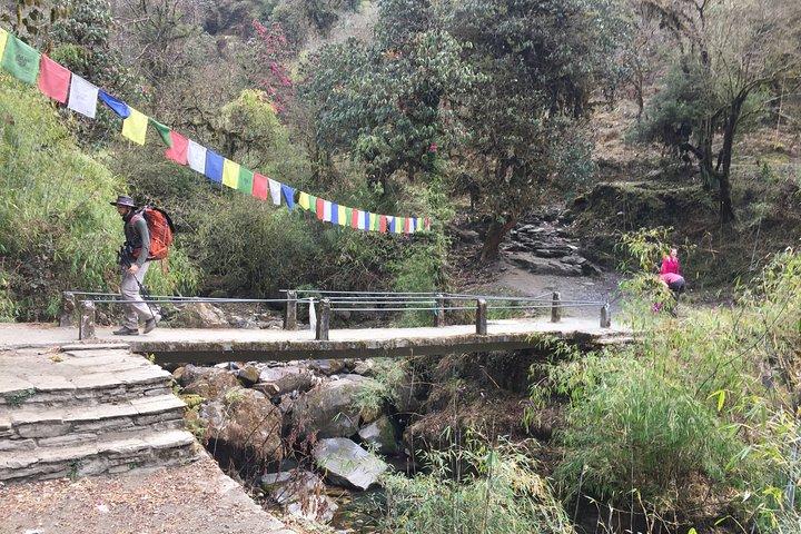 4 Tage Poon Hill Trek