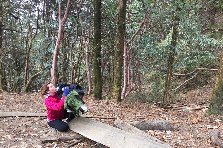 4 Tage Poon Hill Trek