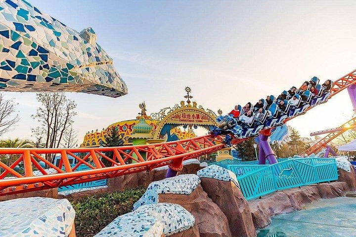 上海海昌海洋公園と市街地間のプライベートトランスファー