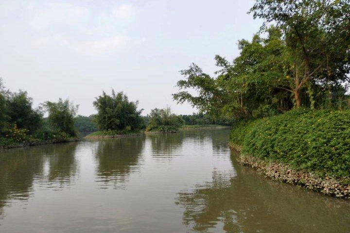 Private Tagestour zum Xinhui Bird Paradise und zur Xinhui Academy von Guangzhou