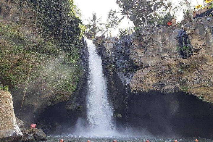 Bali Tour: Ubud meest populaire plaats