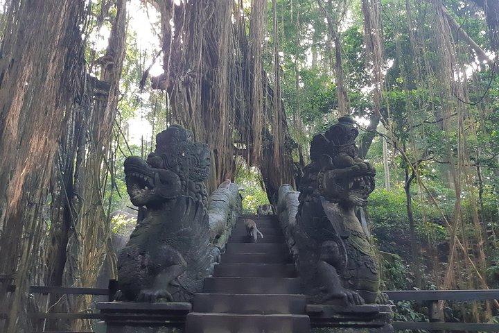 Bali Tour: Ubud Most Popular Place