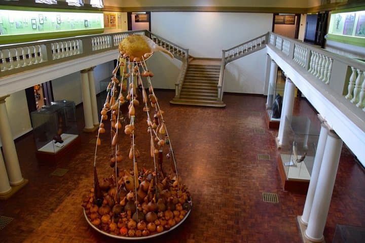 Nairobi National Museum and Snake Park Guided Tour