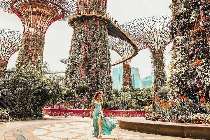Singapore Instagram Tour de carro (privado e com tudo incluído)