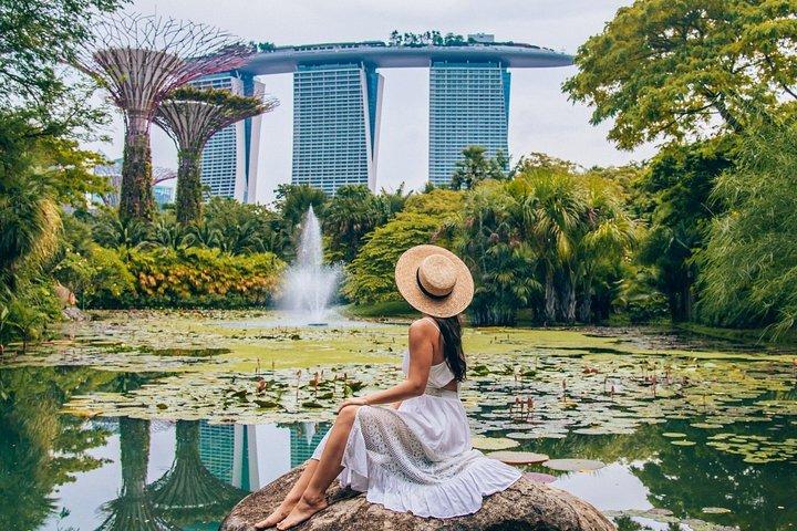 Visite Instagram de Singapour en voiture (privée et tout compris)