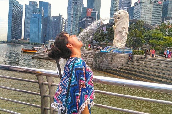 Visite Instagram de Singapour en voiture (privée et tout compris)