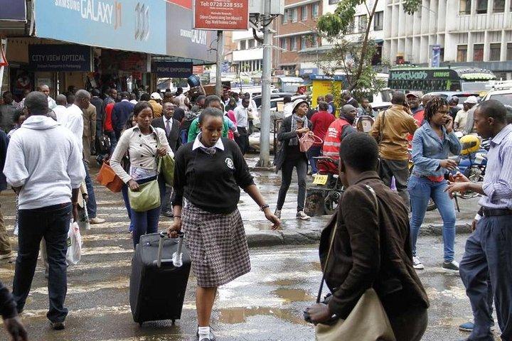 Nairobi-stadswandeling met gids van een halve dag