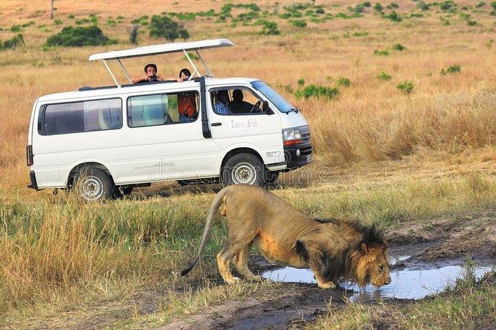 Tour del Lago Nakuru con giro in barca opzionale al Lago Naivasha