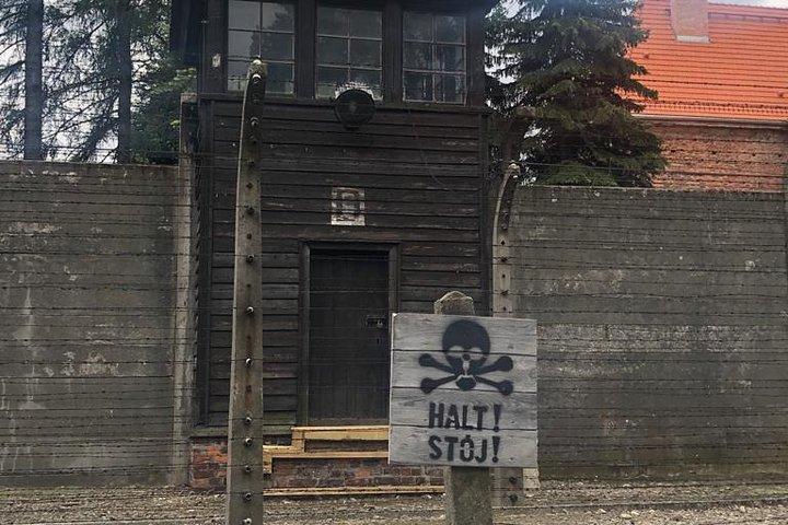 Auschwitz Birkenau Visite guidée/Skip The Line/Pick-up/Guided ENG
