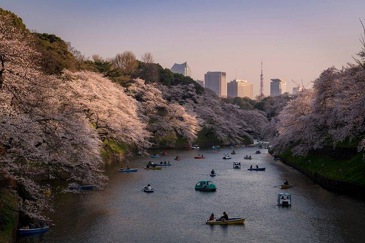 東京写真マスタークラス - プライベート写真レッスン