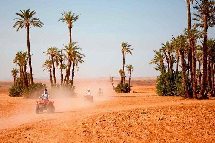 Marrakech Desert und Palm Grove Quad Bike Tour