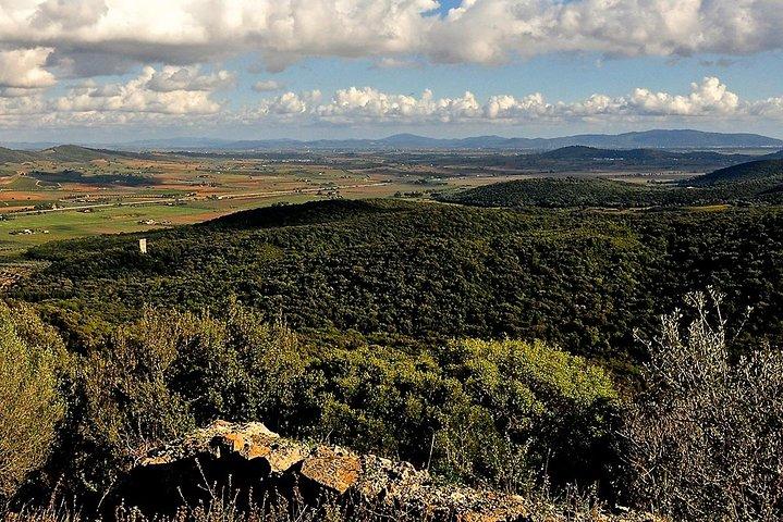 Tarot Garden und Maremma Park