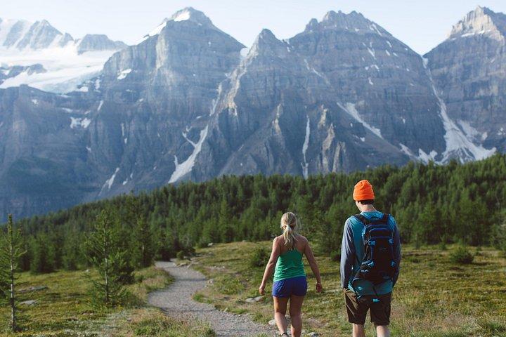 Wilderness and Wildlife Hiking Tour - 3hr Hike