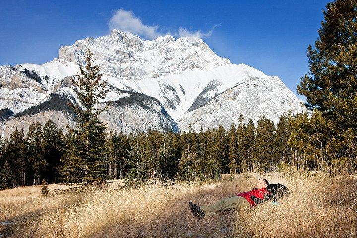 Wilderness and Wildlife Hiking Tour - 3hr Hike