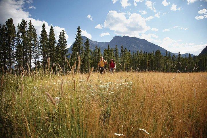 Wilderness and Wildlife Hiking Tour - 3hr Hike